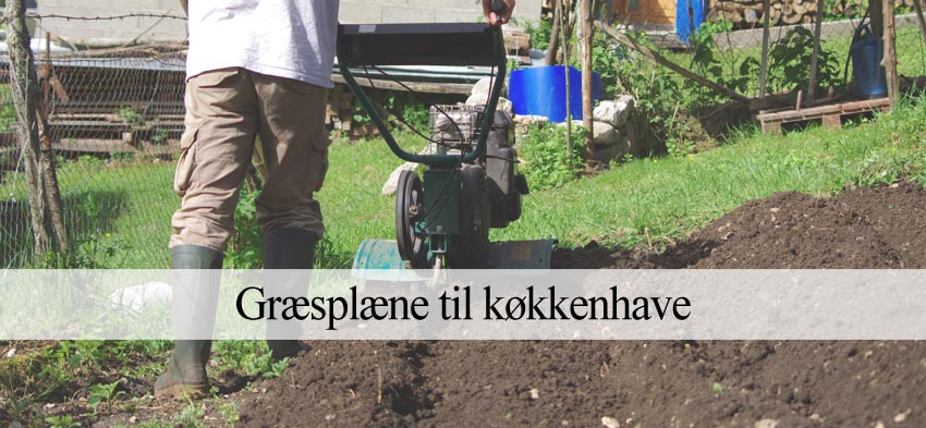 Konvertering af græsplæne til køkkenhave