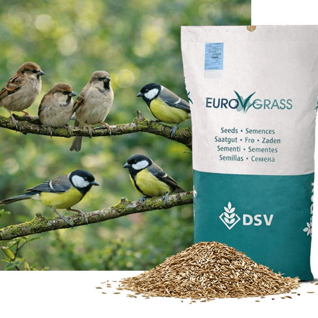 Fuglevildt blanding, 10 kg