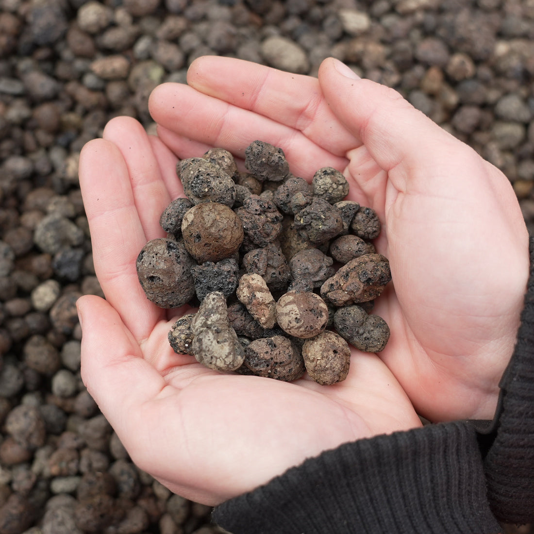 Leca® Flora - 2000 L