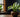 Calathea