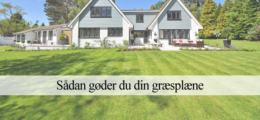 Gødning af græsplænen