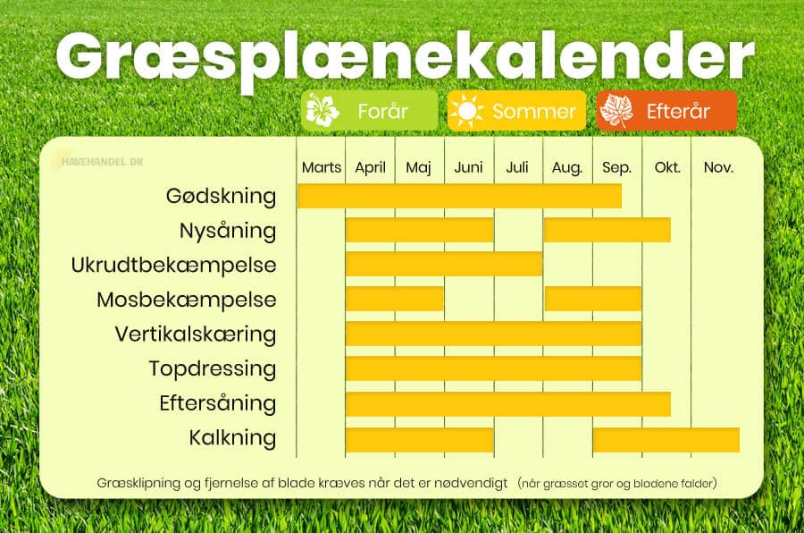 græsplæne kalender