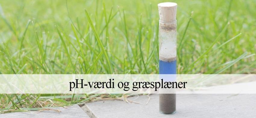kalk ph værdi