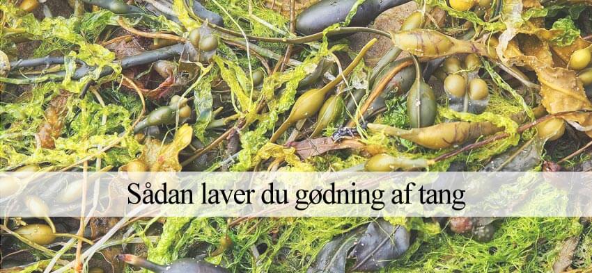 tang gødning