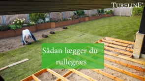 Turfline Rullegræs