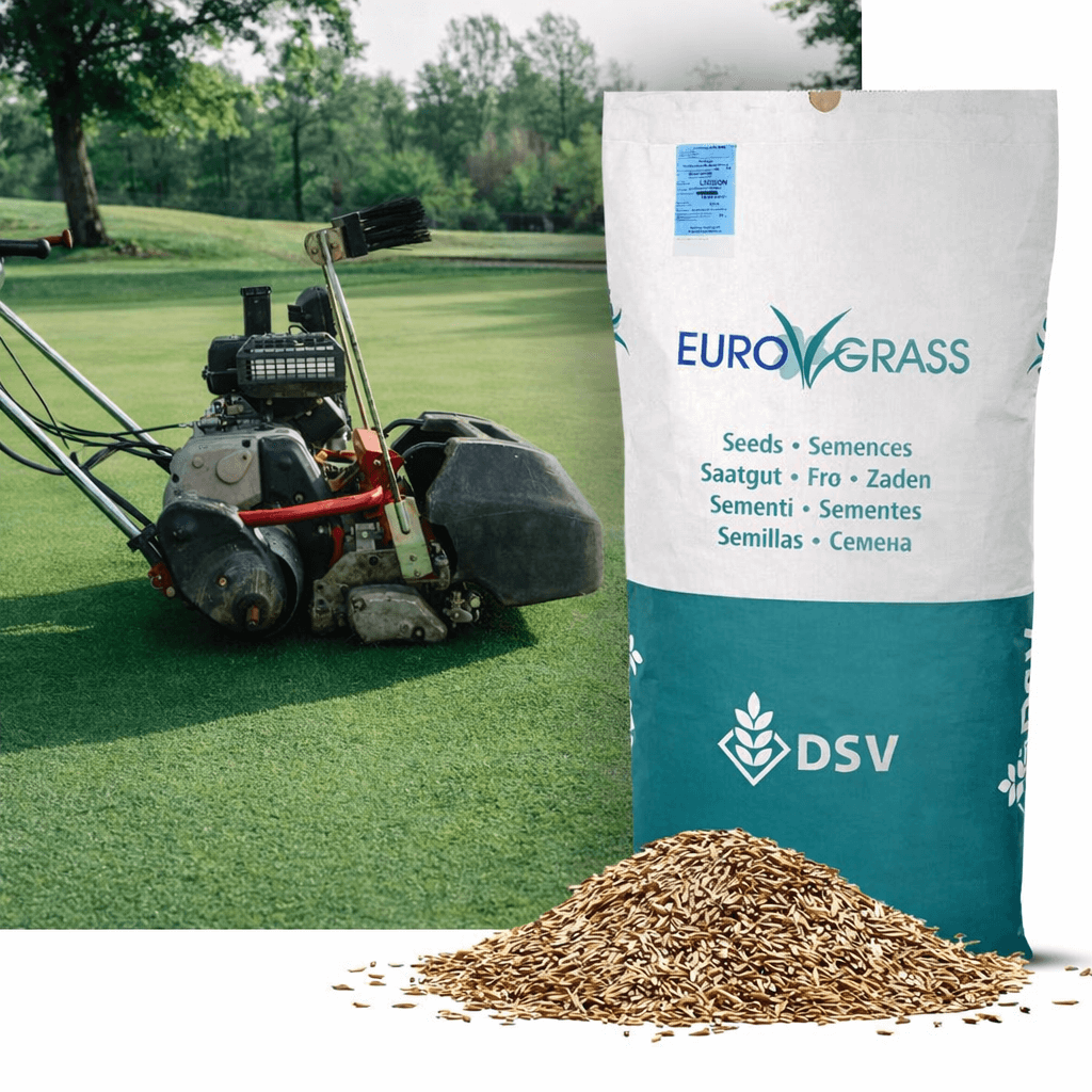 Rødsvingel-Turf, 10 kg