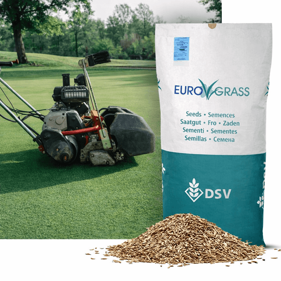 Rødsvingel-Turf, 10 kg