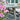 Gråbrun bordplanke med træstruktur og 2 tilhørende bænke i sæt 177 cm