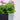 Sæt hjul til blomsterkasse med drejebeslag, sort stål og gummidæk