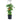 Tomatpotte med espalier 12 liter