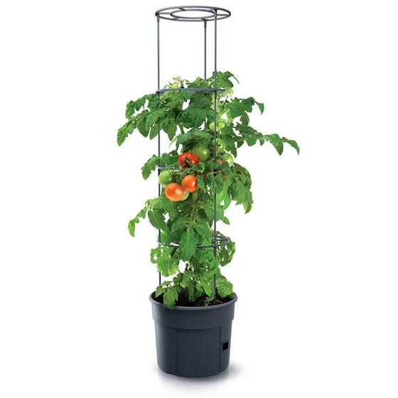 Tomatpotte med espalier 12 liter