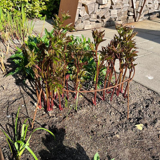 Staudeholder i rustjern Ø20-60 cm