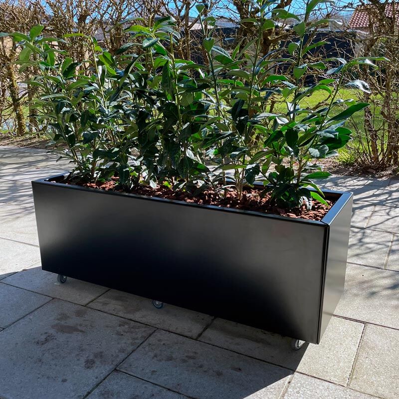 THOR Plantekasse på hjul 120 x 60 x 40 - Black Steel