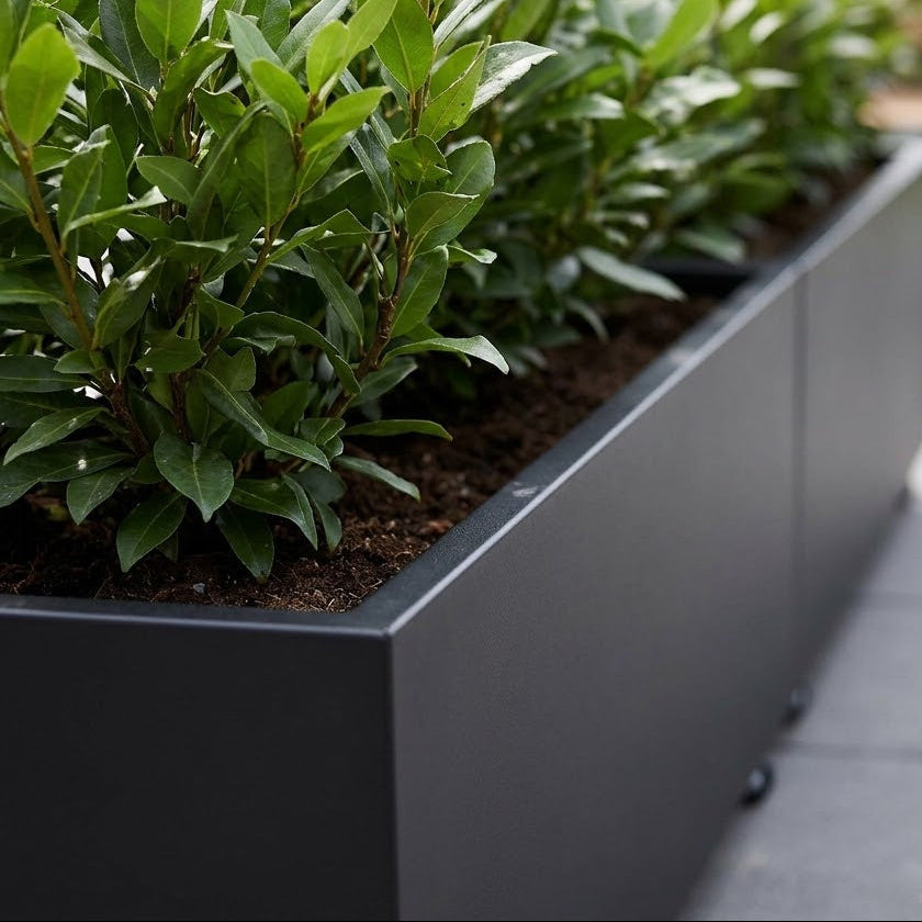 THOR Plantekasse på hjul 240 x 60 x 40 - Black Steel