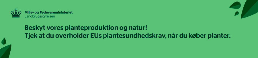 Plantepas