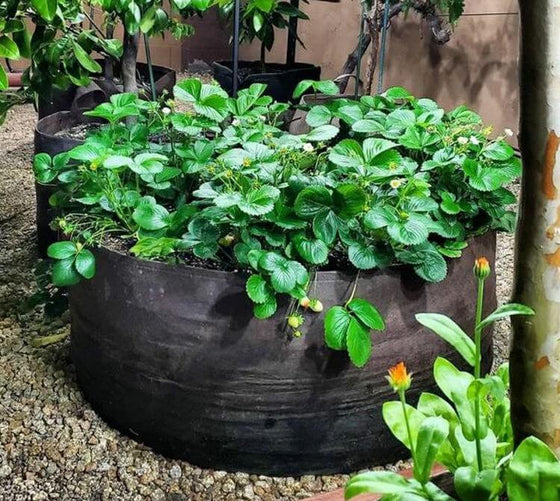 Rundt filt højbed Ø:90 H:30 cm