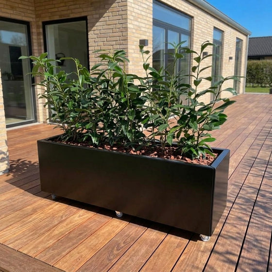 THOR Plantekasse på hjul 120 x 60 x 40 - Black Steel