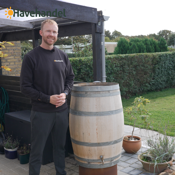 Regnvandstønde i eg 225 liter havehandel.dk