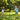Stangtennis leg i haven