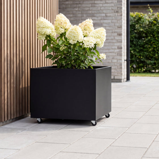 THOR Plantekasse på hjul 60 x 60 x 40 - Black Steel