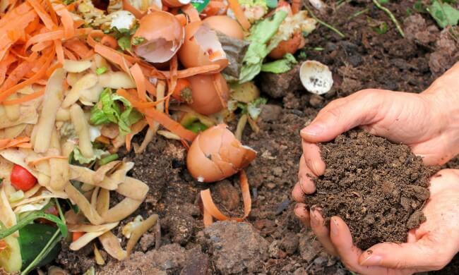 Kompost og jord