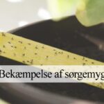 sørgemyg